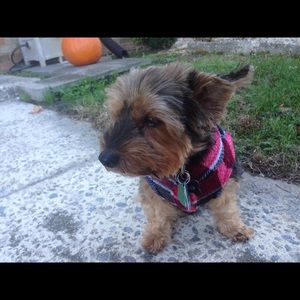 Meet your Posher, Yazmin